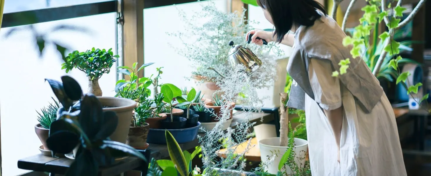 indoor plant gifts for mom in decorative pots cozy home decor