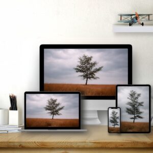 Beautifully Alone: The Multi-Device Set