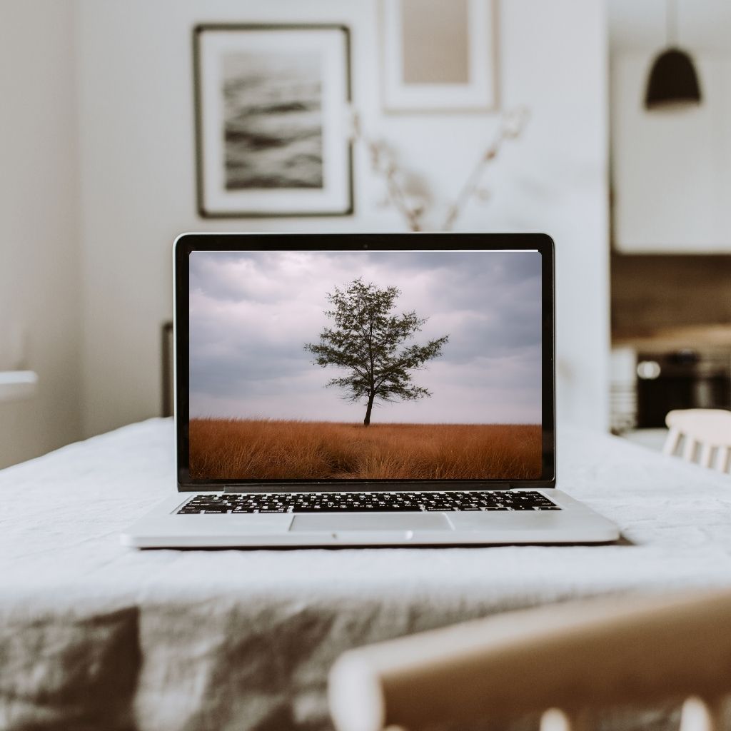 A laptop displaying the 'Beautifully Alone' aesthetic wallpaper featuring a solitary tree in a golden field, placed on a wooden desk in a cozy, minimalist room.