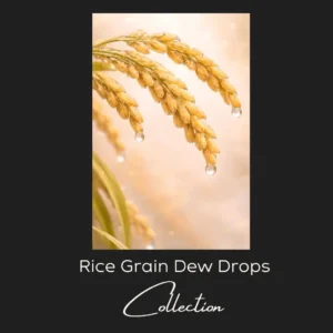 Golden Rice Serenity Collection