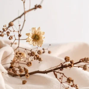 Minimal & Neutral