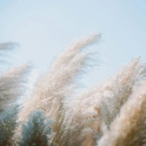 Serene & Airy