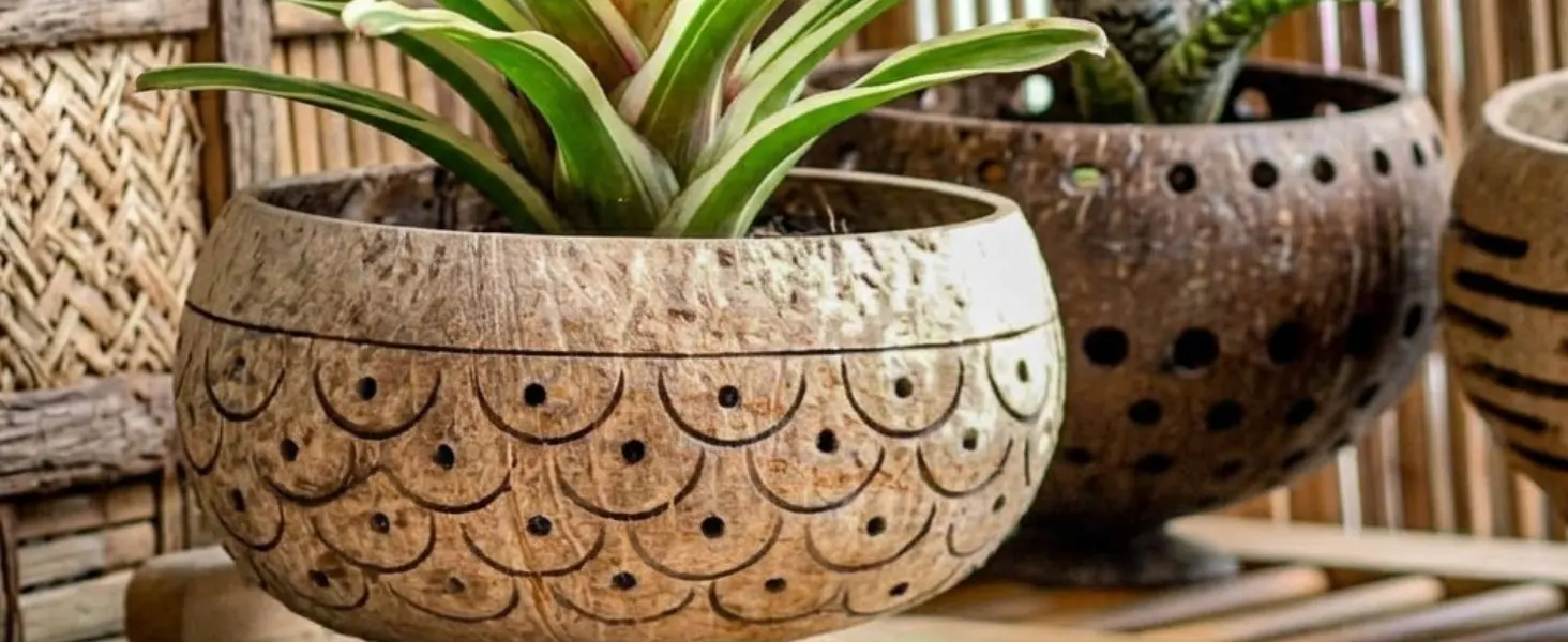 Coconut Planter – Handmade Eco Pot for Succulents & Plants
