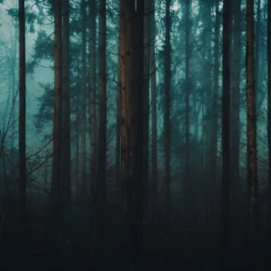 Dark & Mystical