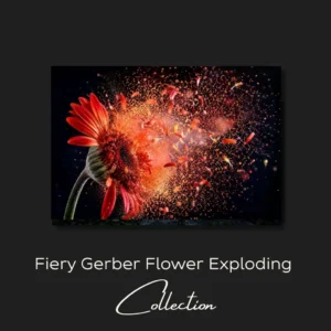 Fiery Gerber Flower Exploding Collection