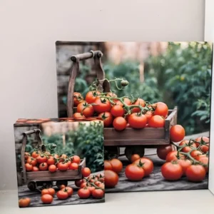 Ripe Tomatoes in Rustic Wooden Crate | Thick Frame Canvas Wall Art