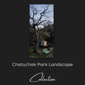 Chatuchak Park Landscape Collection