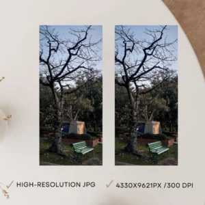 Silent Twilight Tree – Printable Nature Photography, Digital Download, Chatuchak Park Landscape Print, Instant Download Wall Art